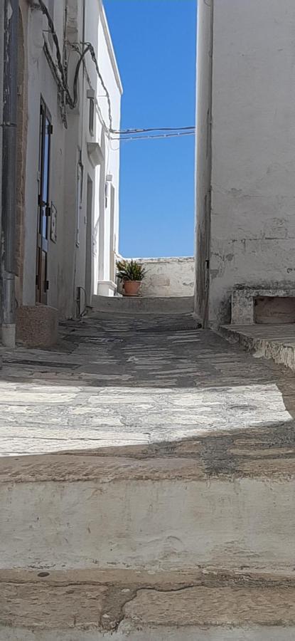Che Vista!! Ostuni ,Sulle Bianche Mura Con Vista Mozzafiato Zewnętrze zdjęcie