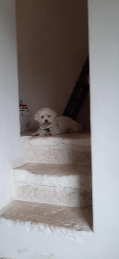 Che Vista!! Ostuni ,Sulle Bianche Mura Con Vista Mozzafiato Zewnętrze zdjęcie