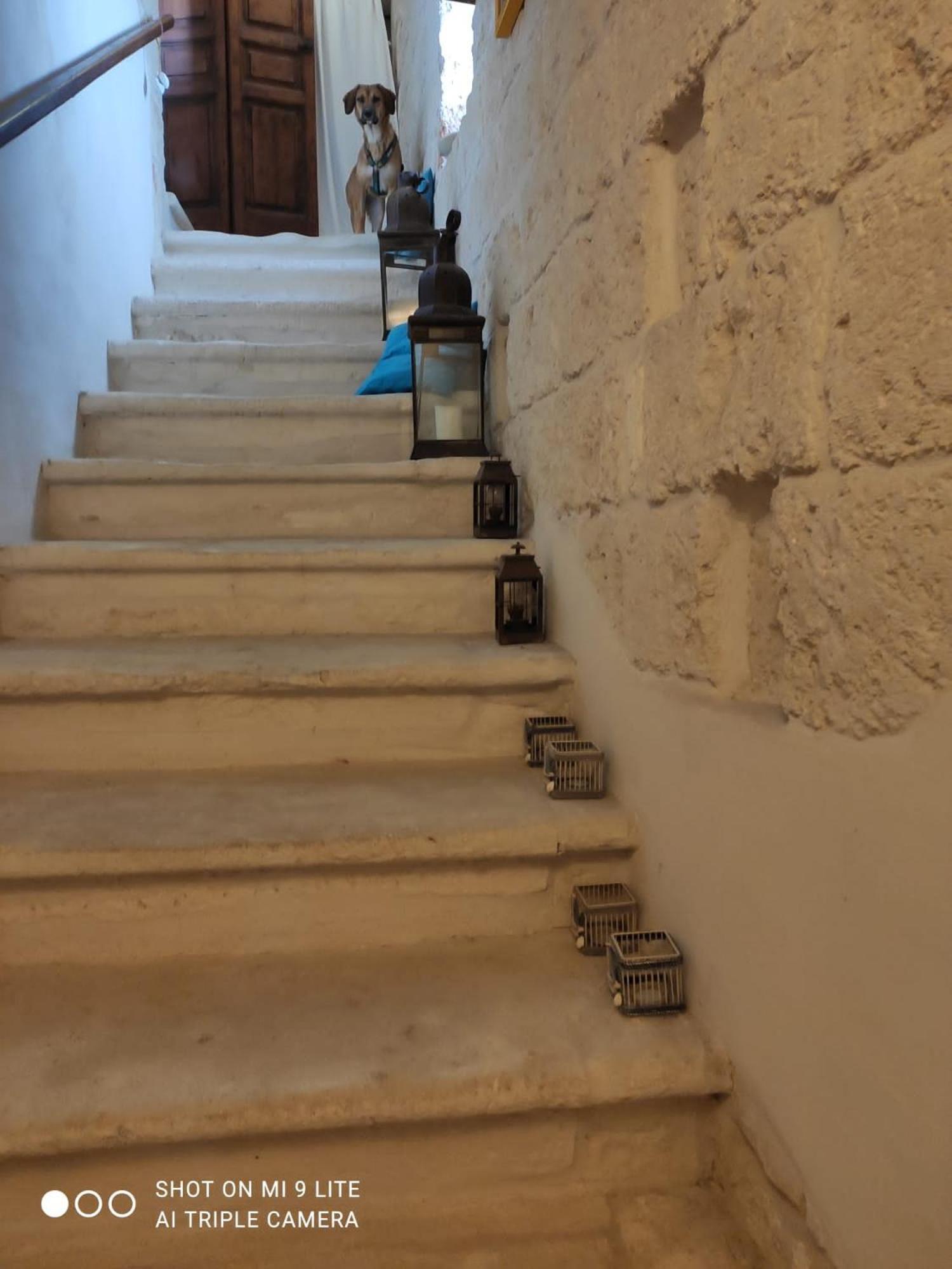 Che Vista!! Ostuni ,Sulle Bianche Mura Con Vista Mozzafiato Zewnętrze zdjęcie