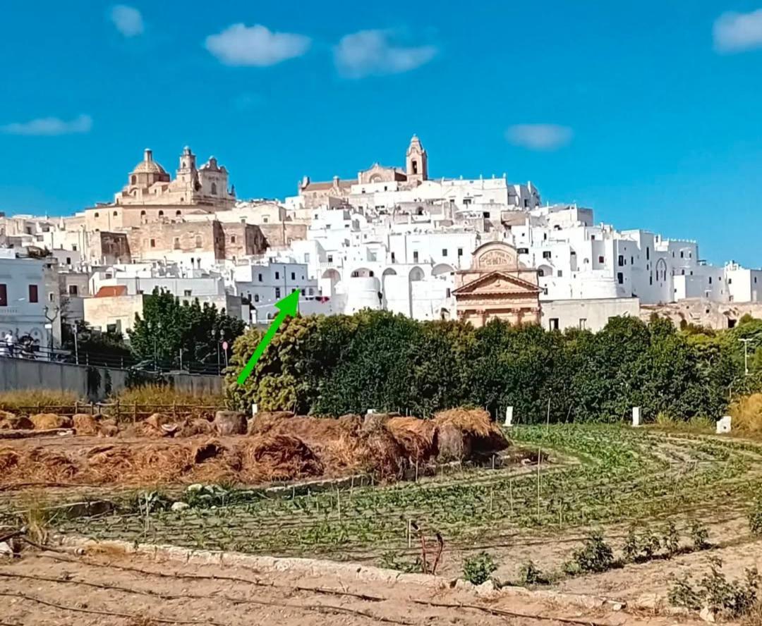 Che Vista!! Ostuni ,Sulle Bianche Mura Con Vista Mozzafiato Zewnętrze zdjęcie